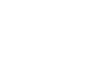 DEN Curbside Skate - B&W