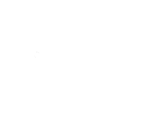 Inclusive Excursions RENO