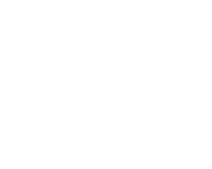 Paddle Boston