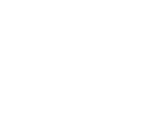 NYC Skudin Surf