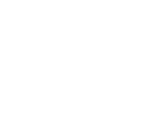 blue mtn