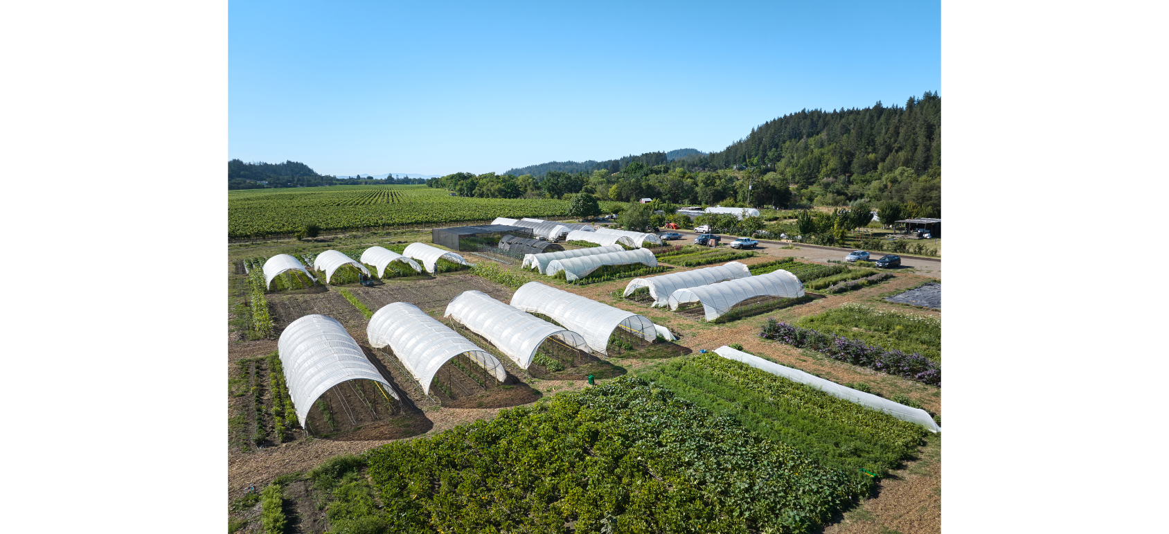 A view of SingleThread Farms.
