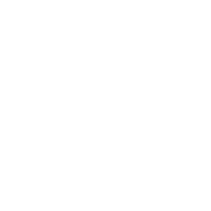 BOA Logo