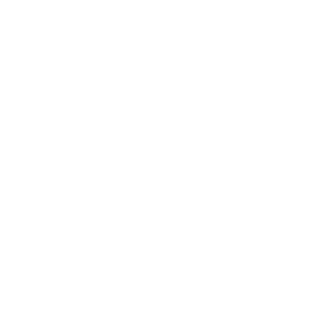 Burton Logo