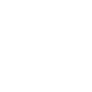 Bore Logo