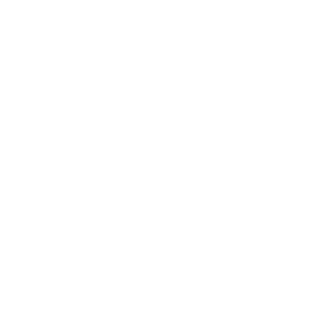 infor Logo