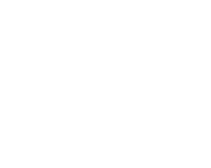 Mountain High - W Logo