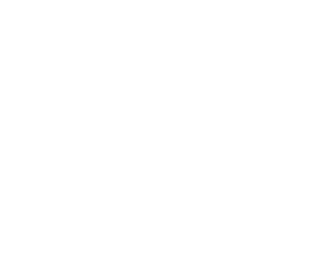 SkaterTrainer Logo - White